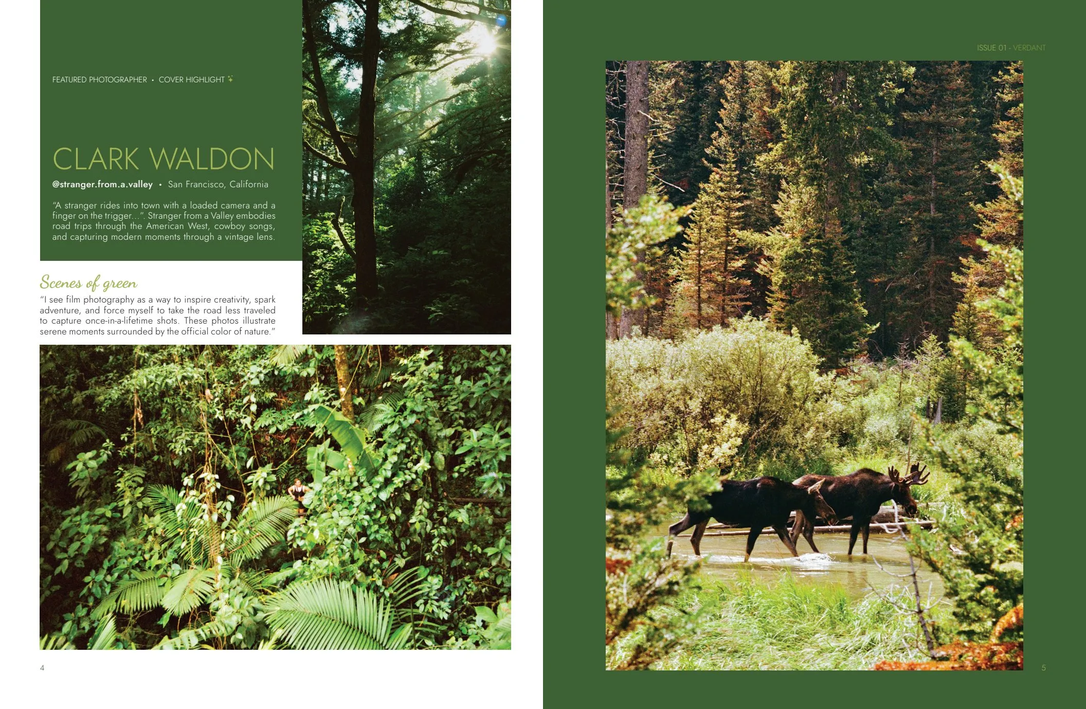The cover photographer gets a full spread — text held to the left, the forest taking the whole right page.